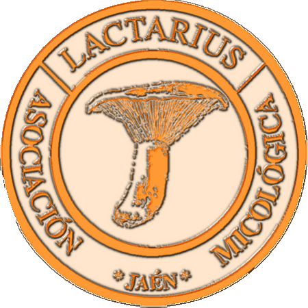 Descripcin: Descripcin: Descripcin: Descripcin: C:\Users\josej\Desktop\PARQUES_archivos\lactarius-naranja.png